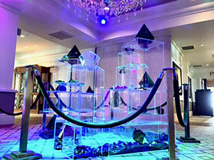 Acrylic Gems Display