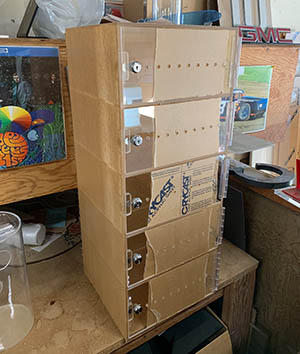 Locking POP Displays