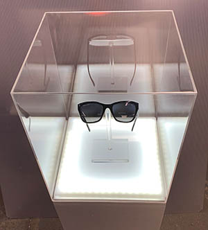 Trade Show Eyeglass Display Case